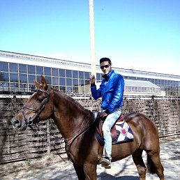 �������, ������, 37 ���