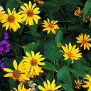 ������ 2014 �� ������� �"...�� ������ ������..."�