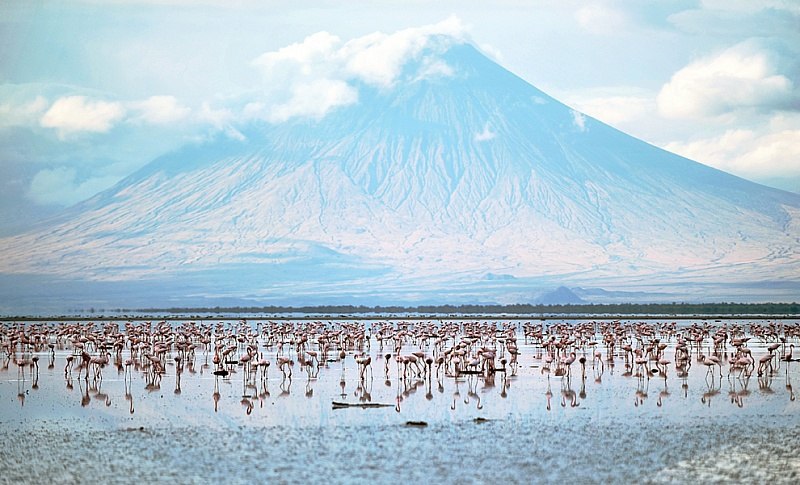      .    (Lake Natron)     ... - 4