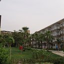  , , 55  -  8  2014    