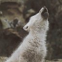 ���� ������, �����-���������, 45 ��� - ��������� 30 ���� 2014