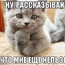 ���� �����, ������, 43 ���� - ��������� 27 ���� 2014 � ������ ������ ��������