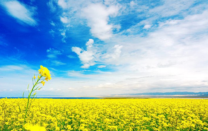 ���� - 24 ���� 2014 � 18:11