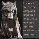 ���� �������, ������ - ��������� 16 ��� 2014 � ������ ������ ��������