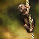 ���� �����, ����������, 41 ��� - ��������� 15 ���� 2014 � ������ ������ ��������