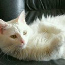 ���� �����, �����-���������, 42 ���� - ��������� 12 ���� 2014 � ������ ���� ���� ������