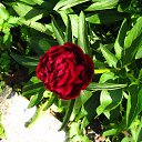 ���� �������, ����������� - ��������� 26 ��� 2014 � ������ ������ ��������