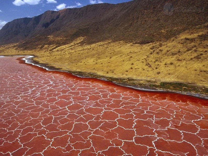      .    (Lake Natron)     ... - 7