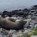 ���� �����, ������, 47 ��� - ��������� 18 ���� 2014 � ������ �������������� ������� 2013�