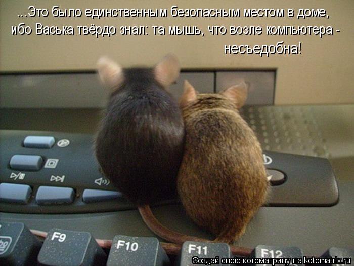 /zev/null - 29  2014  12:59