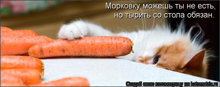 Marina - 22  2014  07:39