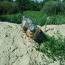 ���� �����, ����������� - ��������� 25 ���� 2014 � ������ ��������� ��������