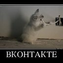 ���� �������_�����, �������, 48 ��� - ��������� 8 ������ 2014 � ������ ������ ��������