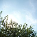 ���� �����, ������� - ��������� 18 ������� 2014 � ������ �17.08.2014�.�