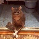 ���� ������, ������������, 49 ��� - ��������� 28 ������ 2014 � ������ ������ ��������