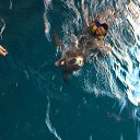 ���� �����, �����-���������, 52 ���� - ��������� 8 ���� 2014 � ������ ������� 2014�