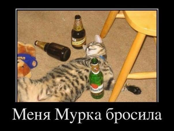 No Name Alex® - 12  2014  10:42
