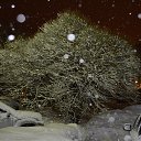���� Xacco, ������, 54 ���� - ��������� 11 ������� 2014 � ������ �����