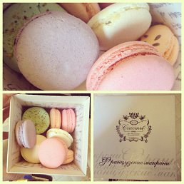 �����, �����������, 24 ����