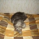 ���� �������, ��������� - ��������� 13 ��� 2014 � ������ �:)�