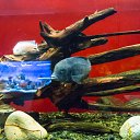  , , 46  -  24  2014      &quot; &quot;