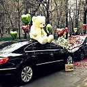 ���� ��������, �����������, 35 ��� - ��������� 16 ����� 2014 � ������ ������ ��������