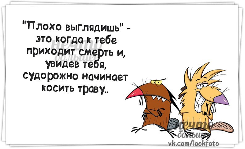   - 8  2014  23:41