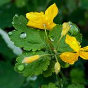 1.06.2014 �� ������� �����ܻ