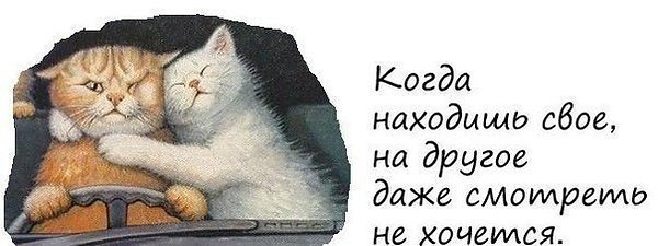  - 31  2014  11:40