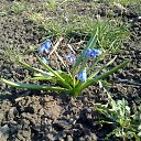 ������ ����������� �� ������� ���� ����������