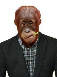 ���� �������� ���������, ������, 42 ���� - ��������� 30 ��� 2014