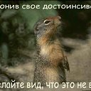 ���� �������, ��������, 59 ��� - ��������� 10 ��� 2014 � ������ ������ ��������