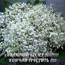 ���� ����, �������, 55 ��� - ��������� 31 ����� 2014 � ������ ������ ��������