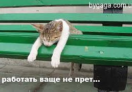 ������, �������