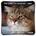 ���� �������, ������, 51 ��� - ��������� 27 ���� 2014 � ������ ������ ��������