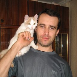 ���������, �����������, 48 ���