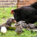 ���� �, ������ - ��������� 5 ������ 2014 � ������ ������ ��������