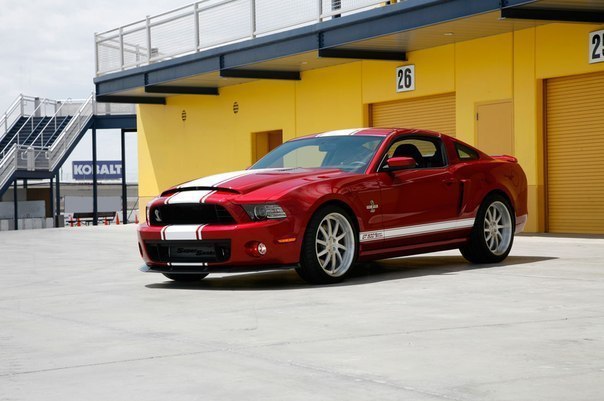 Shelby GT500 Super Snake - 3