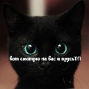  Lyubasha,  -  20  2014