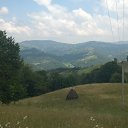  "",  -  3  2014    2014