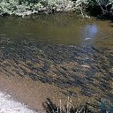  , -, 59  -  11  2014    