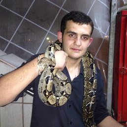 Georgi, �����, 29 ���