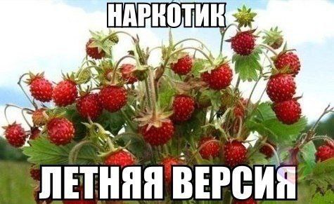   - 11  2014  23:19