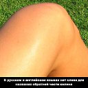 ���� �������, ����������, 51 ��� - ��������� 7 ��� 2014 � ������ ���� ����������