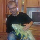 ���� ������, �����������, 38 ��� - ��������� 3 ���� 2014 � ������ ���� ����������