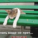 ���� ������, ������� - ��������� 3 ������� 2014 � ������ �� �����