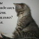 ���� ������, ���� - ��������� 27 ���� 2014 � ������ ���� ����������