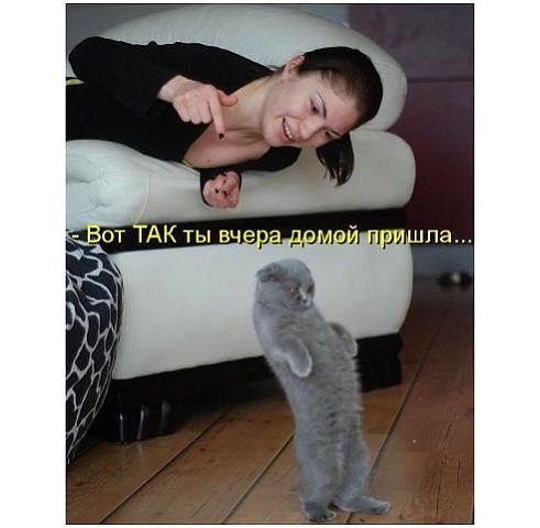 ...[a]_voe_so Le... - 1  2014  15:51