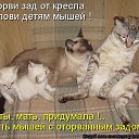 ���� Madam, �����-��������� - ��������� 14 ���� 2014 � ������ ������ ��������