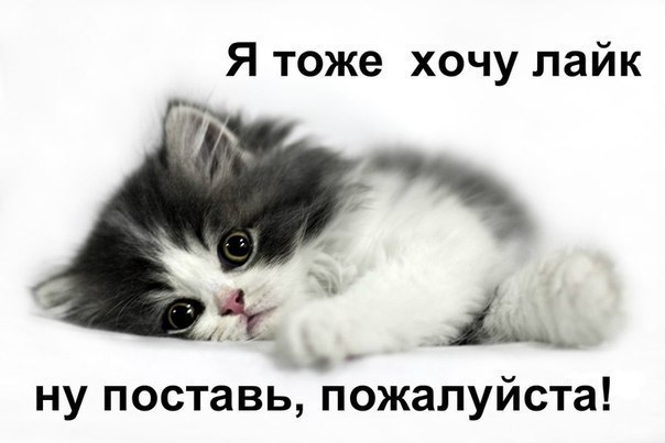   - 6  2014  20:00